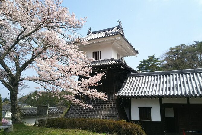 Full Day Private Tour in Kiso Valley and Magome Tour From Nagoya - Good To Know