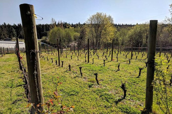 Full-Day Small-Group Bainbridge Island Wine and History Tour - Good To Know