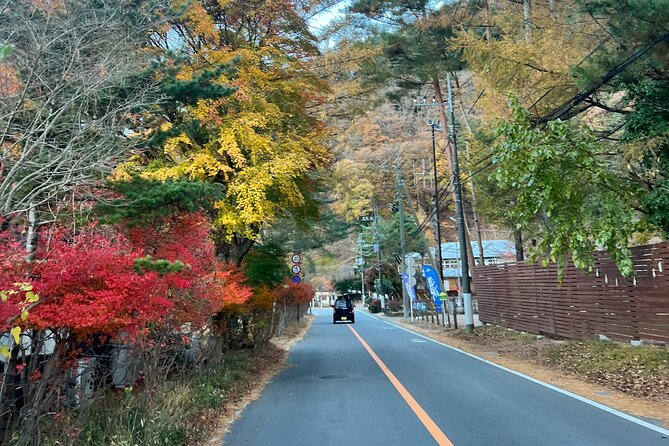 Fun Trail in Tokyo - Good To Know