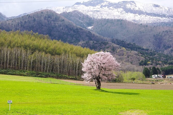 Furano Private Customizable Full Day Tour - Good To Know