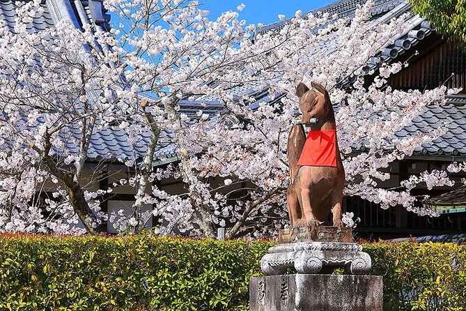 Fushimi Cherry Blossom and Sake Brewery Tour - Good To Know