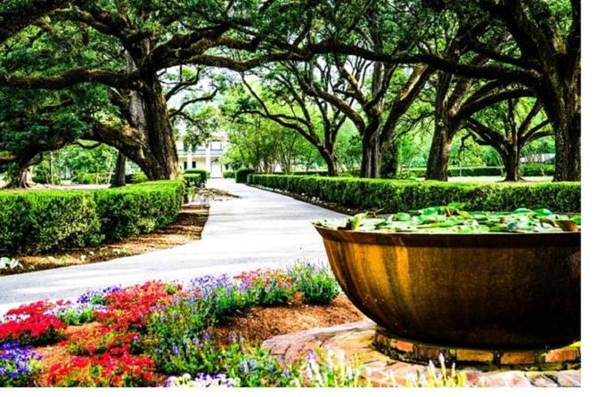 Garden District History and Homes Walking Tour - Good To Know