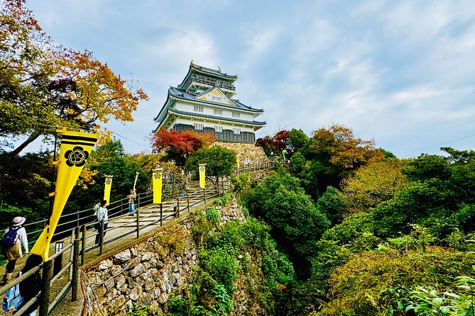 Gifu Half Day Private Tour Castle, Great Buddha and Old Town - Good To Know