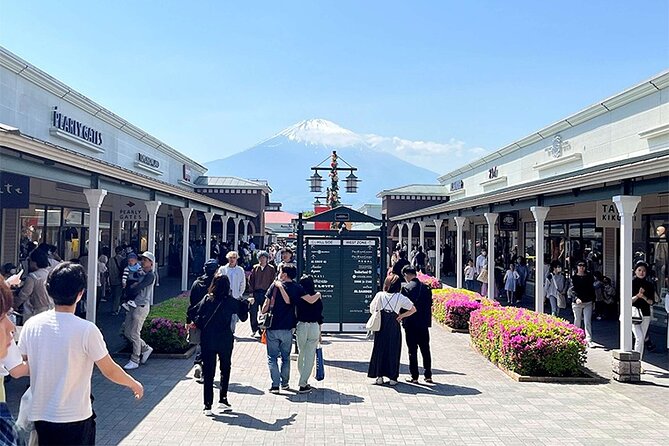 Gotemba Premium Outlets and Konohana No Yu Private Tour - Inclusions