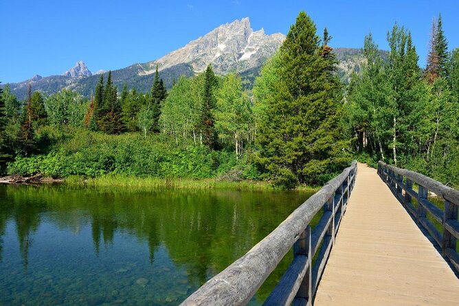 Grand Teton Wildlife Safari Tour - Good To Know