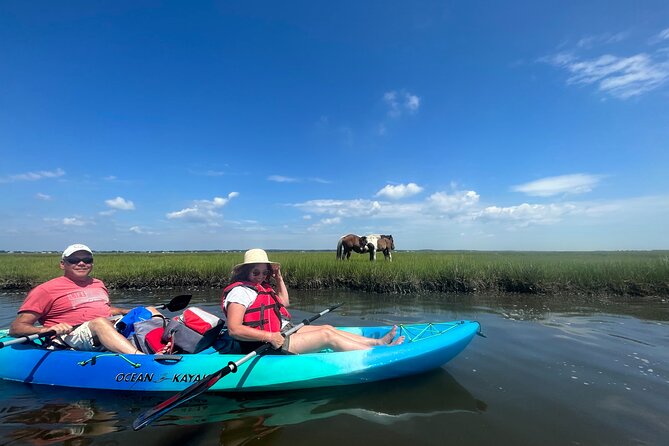 Guided Assateague Kayaking and Wildlife Discovery Tour - Tour Overview