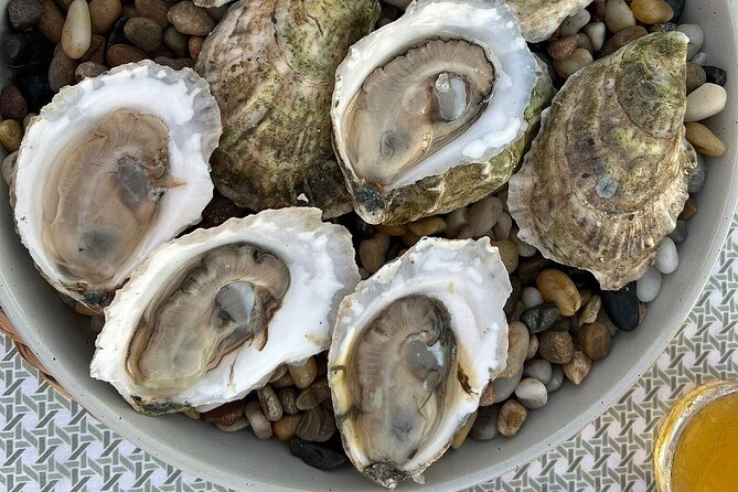 Guided Rooftop Oyster Tasting With an Oyster Sommelier - Good To Know