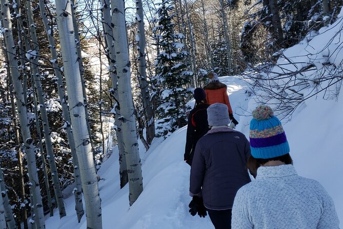 Guided Uinta Forest 3-Mile Hike W/Fire + Lunch/Charcuterie Stop - Good To Know