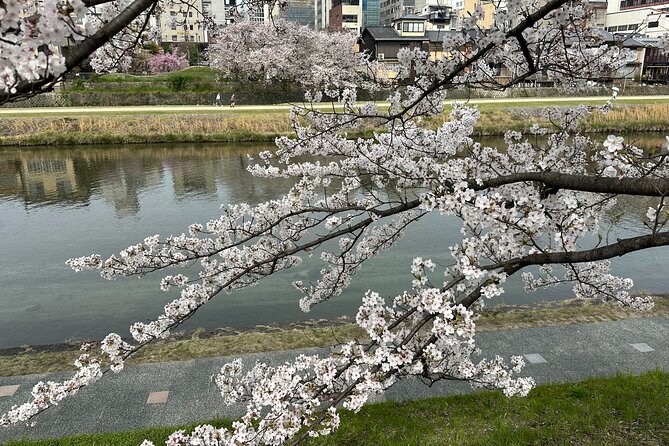 Guided Walking Tour in Kyoto - Good To Know