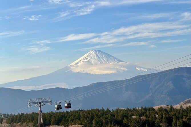 Hakone'S Best Hot Springs & Scenic Lake Ashi Cruise From Tokyo - Good To Know