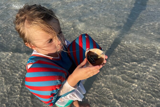 Half Day Eco and Dolphin Boat Tour in Siesta Key - Good To Know