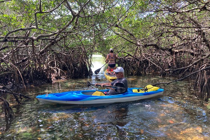 Half Day Excursion to Johns Pass Sandbar & Mangrove Tunnel - Good To Know