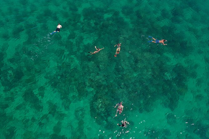 Half-Day Morning Trip From Key West With Kayaking and Snorkeling - Good To Know
