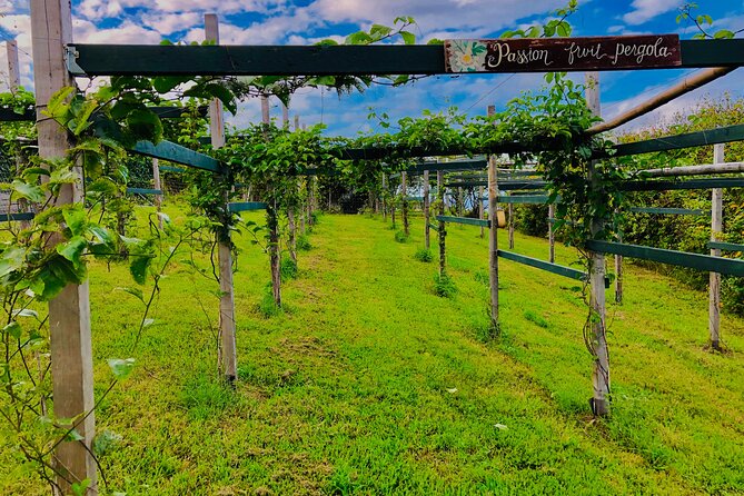 Hamakua Coast Farm Small-Group Walking and Tasting Tour - Good To Know