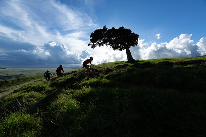 Hawaii E-Mountain Bike Ride - Good To Know