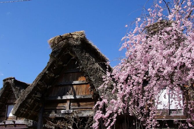 Hida Takayama and Shirakawago One Day Bus Tour From Nagoya - Good To Know