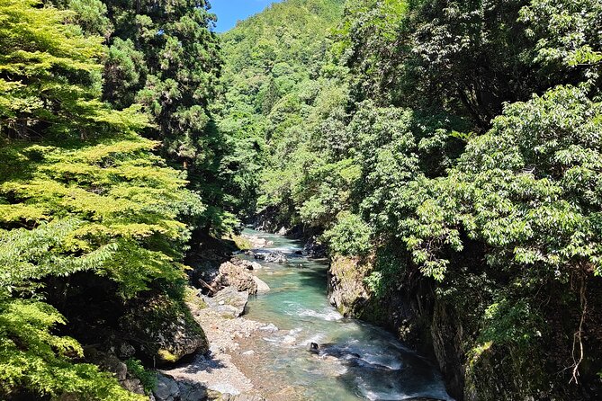 Hiking Kyotos Highest Mountain: Unravel the Mystery of Mt. Atago - Good To Know