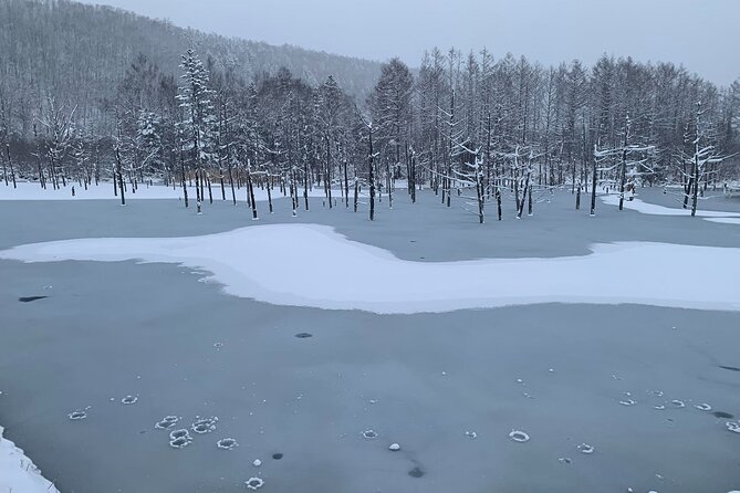 Hokkaido Furano and Biei Private Day Tour（Depart From Sapporo） - Good To Know