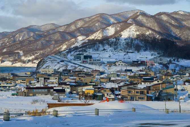 Hokkaido Niseko Ski Day Tour（Depart From Sapporo） - Good To Know