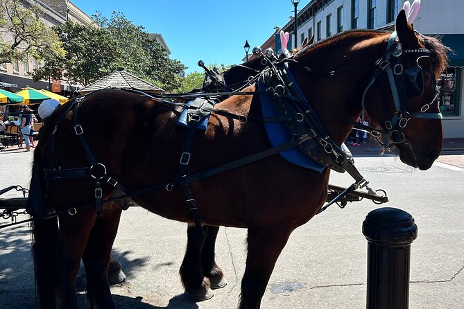 Horse Drawn Daytime Group Narrated Historic Overview Tour - Tour Overview and Meeting Point
