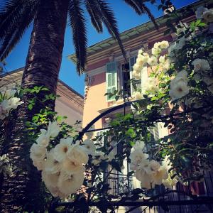 Hotel Villa Rose - Good To Know