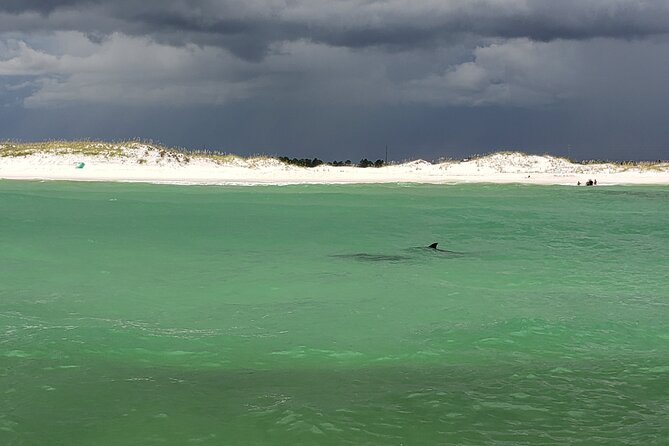 Hydro Rocket Dolphin Sightseeing Boat Tour From Destin - Good To Know
