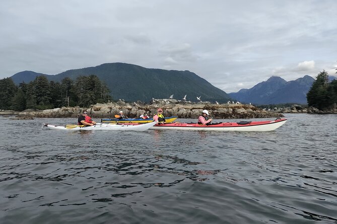 Island Discovery Kayak Paddle in Sitka, Alaska - Good To Know