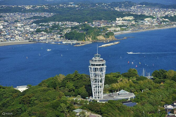 Kamakura Full Day Tour: Kotoku-in & Enoshima & Hachimangu Shrine - Good To Know