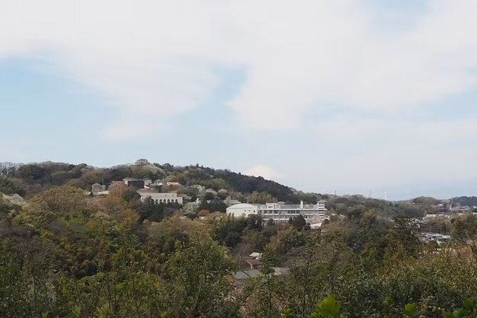 Kamakura Private Cultural and Historical Hiking Tour - Good To Know