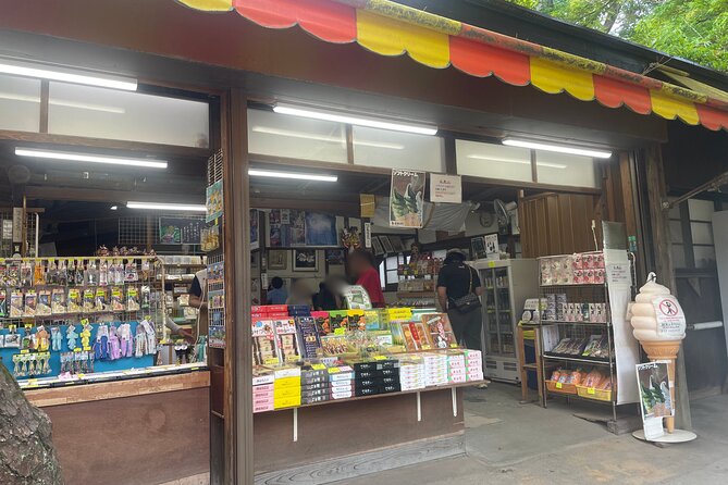 Kamakura: Visit Great Buddha and Shopping Experience - Good To Know