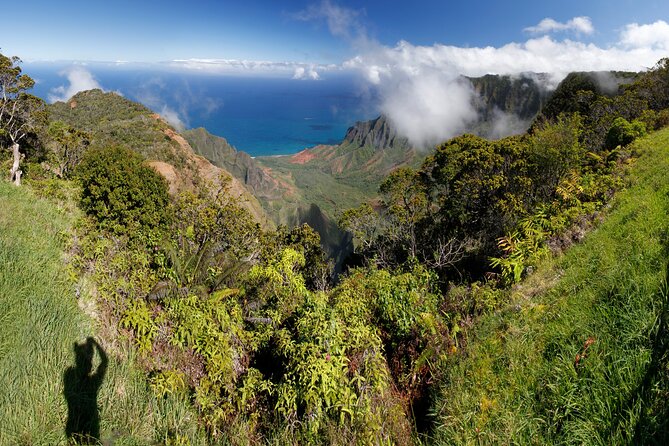 Kauai Shore Excursion - Waimea Canyon Adventure Tour - Nawiliwili - Good To Know