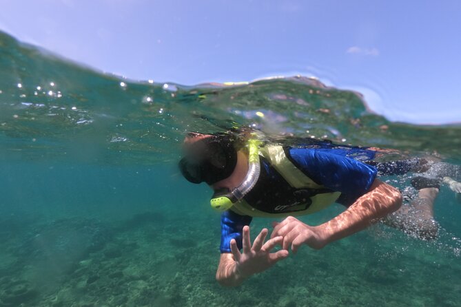 Kauais Ultimate Guided Shore Snorkel (NO BOAT): North Anini - Good To Know