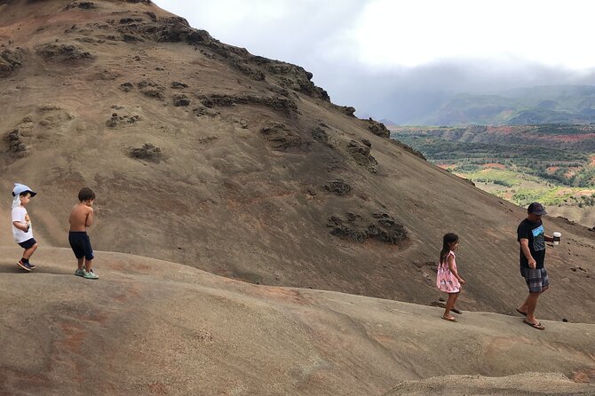 Kauais Waimea Canyon and South Side Private Guided Tour - Good To Know