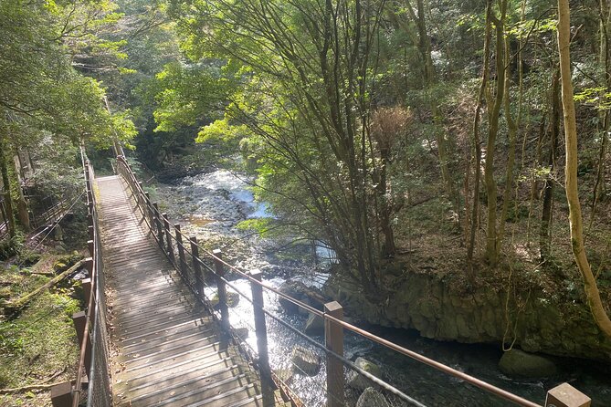 Kawazu Seven Falls Guided Tour - Good To Know