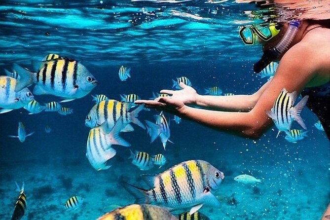 Key Largo Snorkeling Trips & Sandbar Tours - Good To Know