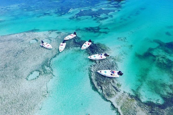 Key West Safari Eco Sandbar Tour Adventure With Snorkeling - Good To Know