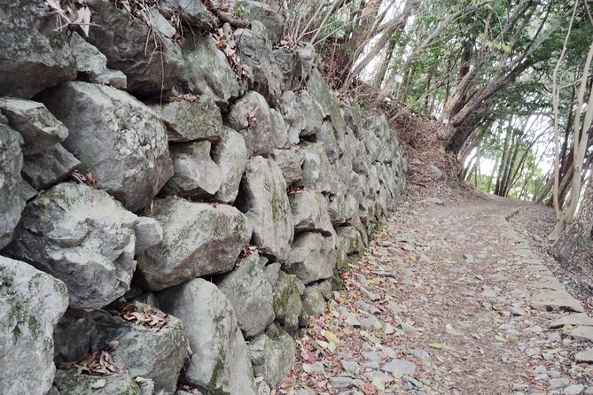 Kintai Kyo Bridge and Iwakuni Castle With Local Guide - Good To Know