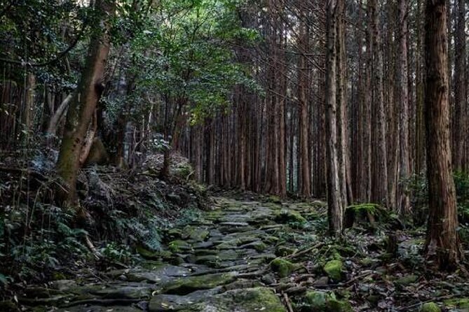 Kumano Kodo Private Guided Tour From Kumano Hongu Taisha - Good To Know