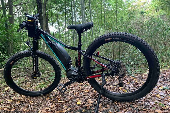 Kyoto E-Bike Rent (Powerful & Long Model) - Good To Know