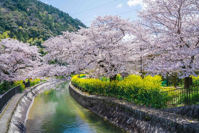 Kyoto Hihashiyama E-Bike Tour *Private, Pick up From/To Hotel - Good To Know
