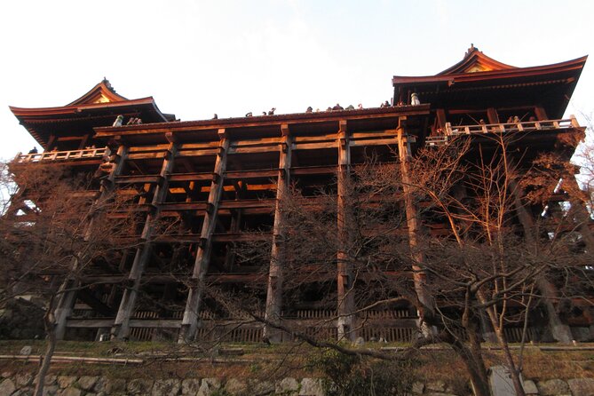 Kyoto ITALIAN GUIDE, Kiyomizu Temple Gion Pagoda Maiko Geisha - Good To Know