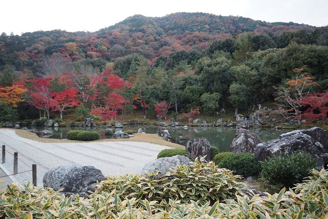 Kyoto Tour in Spanish: Fushimi Inari Bamboo Forest and Kinkakuji - Good To Know