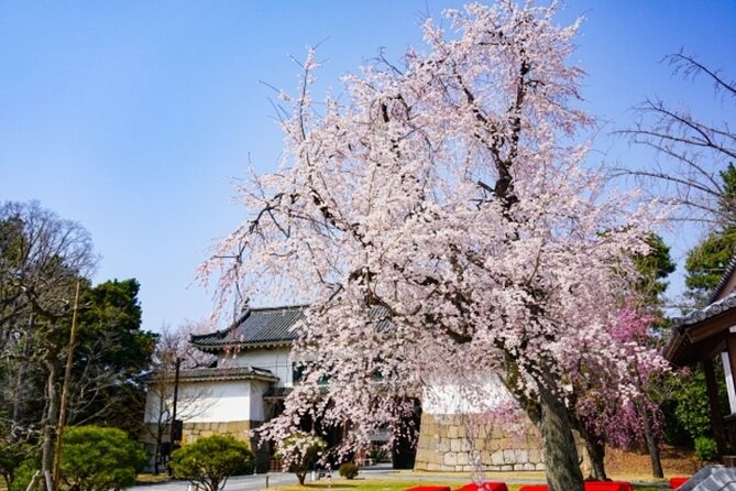 Kyotos World Heritage Walking Tour From Kyoto St. - Good To Know