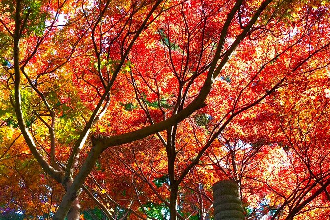 Kyushu Highlights Tour Temples Hot Springs and Anime Adventure - Good To Know