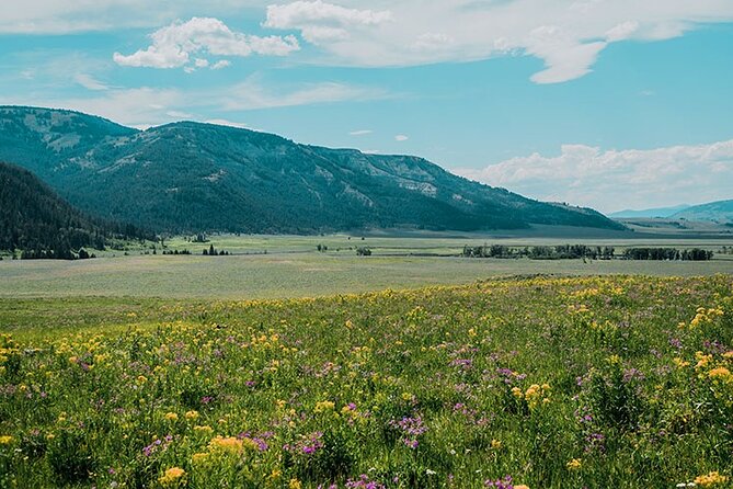 Lamar River Valley Day Hike Tour - Good To Know