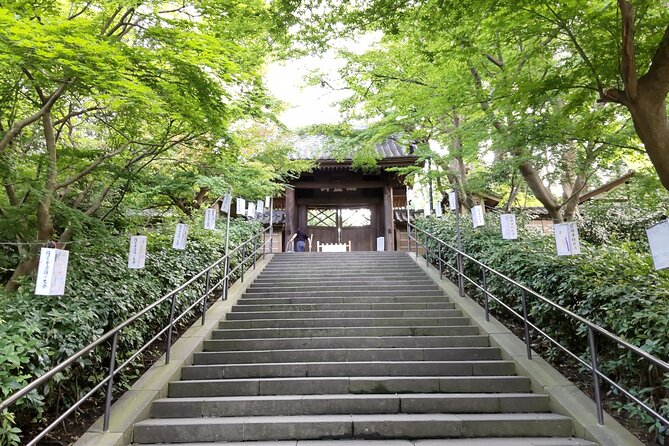 Learning History of Kamakura in Depth With a Certified Guide - Good To Know
