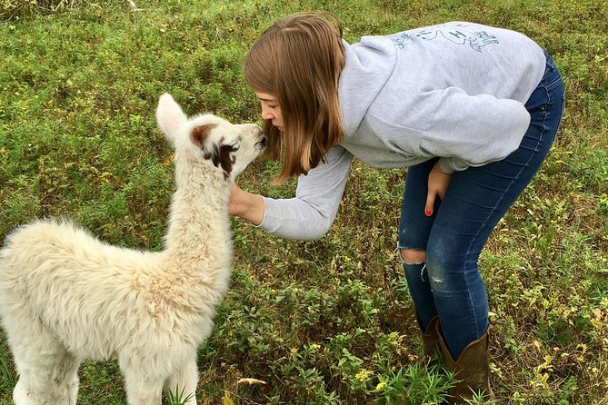 Llama/Alpaca Hike and Farm Tour - Good To Know