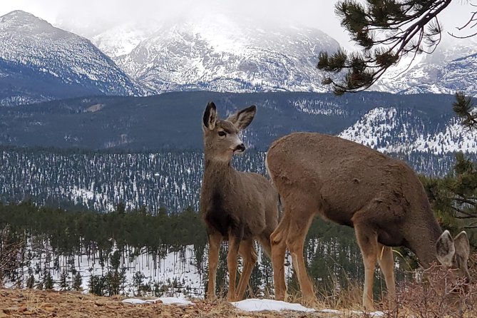 Lower Valley Tour RMNP - Good To Know