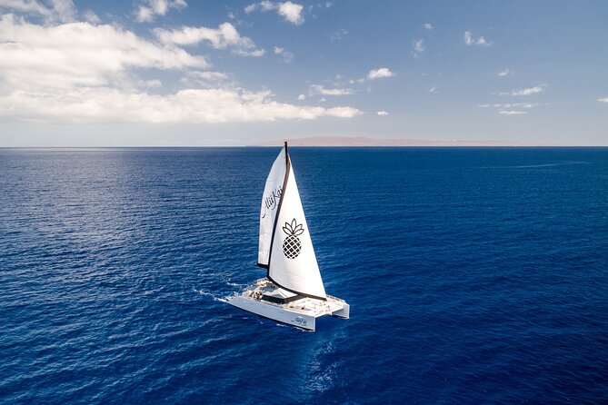 Luxury Catamaran Royal Sunset Dinner Sail (Adults-Only) - Good To Know