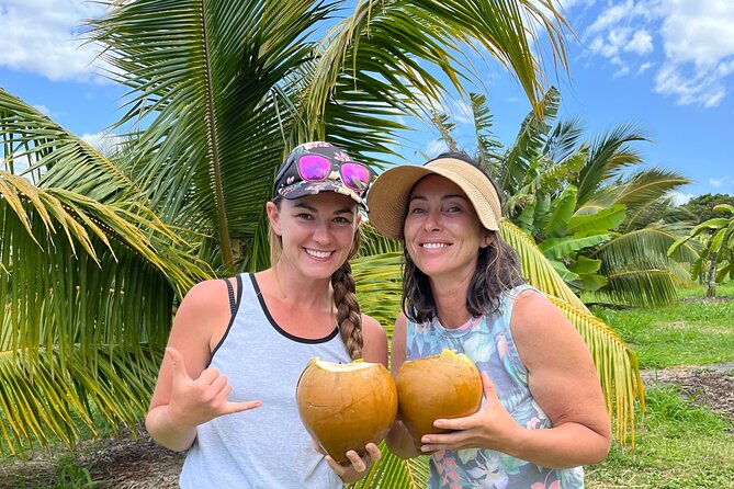 Macnut Tour, Picnic Lunch and Maui Bees - Good To Know